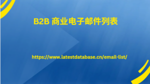 B2B 商业电子邮件列表