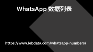 WhatsApp 数据列表